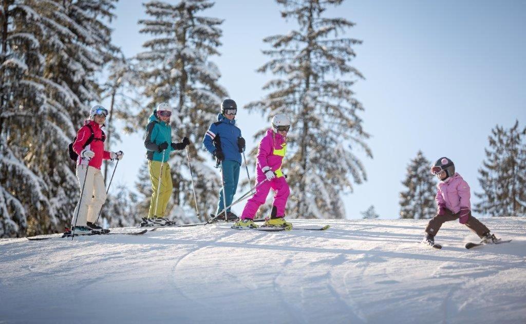 Chata Venda Lipno nad Vltavou Bagian luar foto